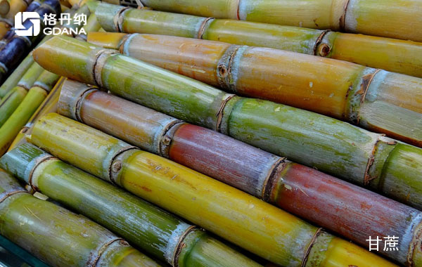 新型電熱板加熱消煮甘蔗前處理方法